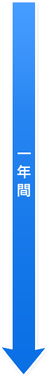 一年間